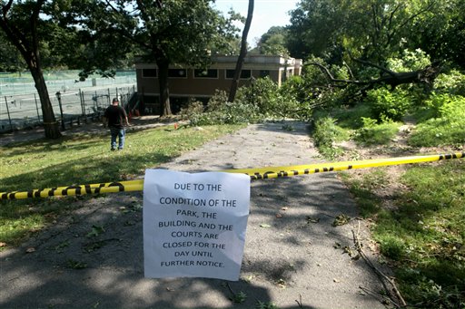 Central Park trees down by storm in NYC