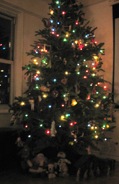 Nicole and Albert Balcells Xmas tree 09 lit up