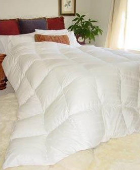 Comforter