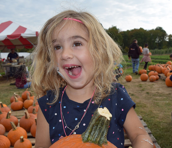 Fall Festival - Pumpkin Picking 2016